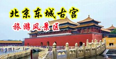 caobb电影中国北京-东城古宫旅游风景区